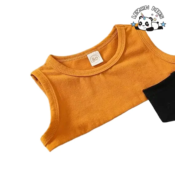 2024 Hot Sale Color Block Sleeveless Tops and Casual Shorts Summer Boys Clothing Set - Product Image