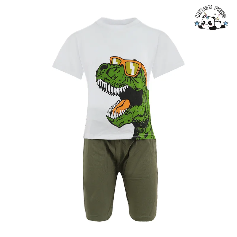 Wholesale New Innovations Big Dinosaurs Pattern Printing 2pcs Suits Cotton Kids Clothing Boys Sets