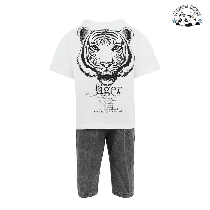 Conjuntos de duas peças casuais de verão para atacado, tops de manga curta, shorts de algodão, desenhos de logotipos de desenhos animados, conjuntos de roupas para meninos - Product Image
