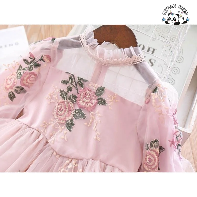 Customized Autumn Embroidery Flower Tulle Dress for Kids Girl Cute Casual Dress for Kids - Product Image