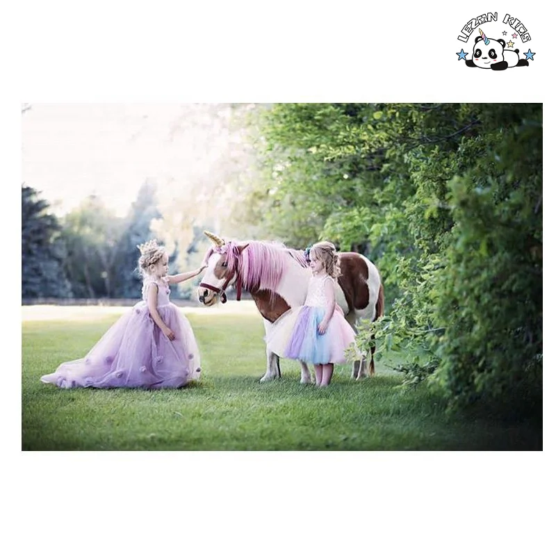 Vestido de Lantejoulas Rosa para Meninas OEM Vestido de Malha Arco-íris para Festa Noturna Princesa para Crianças - Product Image