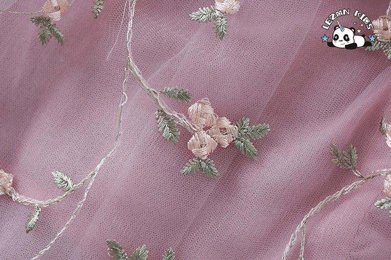 Spring and Autumn New Children's Dress Lace Tulle Embroidery Girl's Puff Sleeve Dress - Product Image